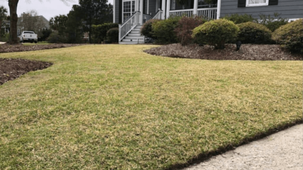 Summer drought restrictions impacts your lawn