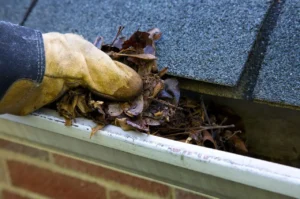 Annual Gutter Cleaning